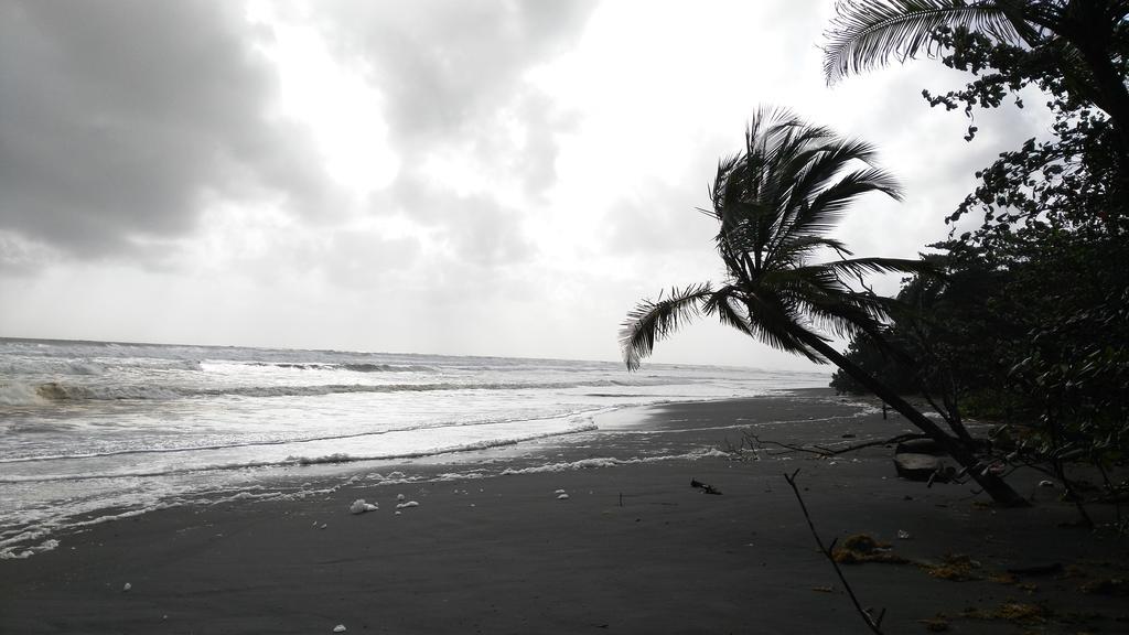 All Rankins Eco-Lodge Tortuguero Dış mekan fotoğraf