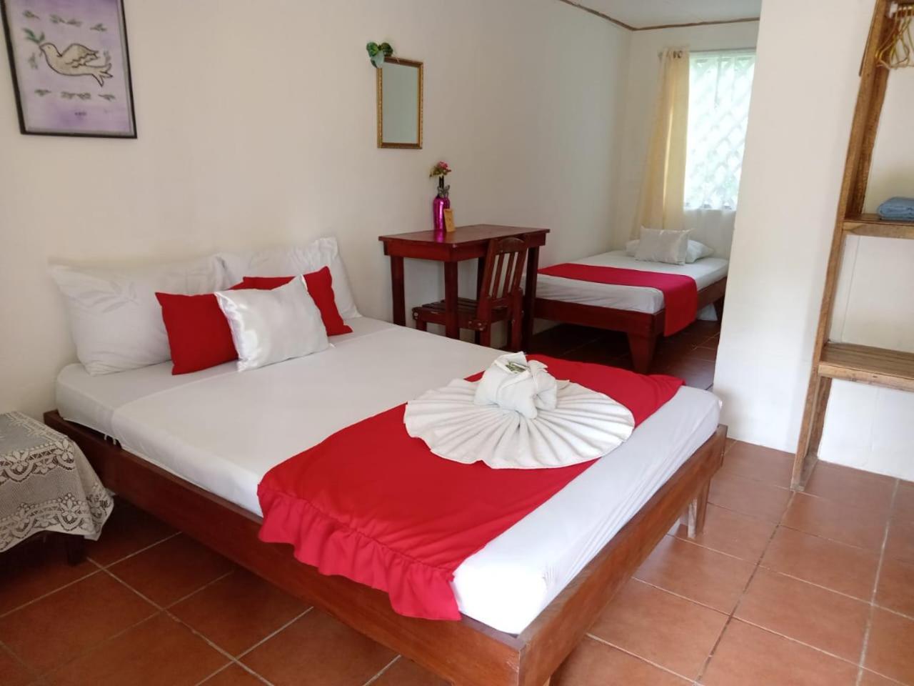 All Rankins Eco-Lodge Tortuguero Oda fotoğraf