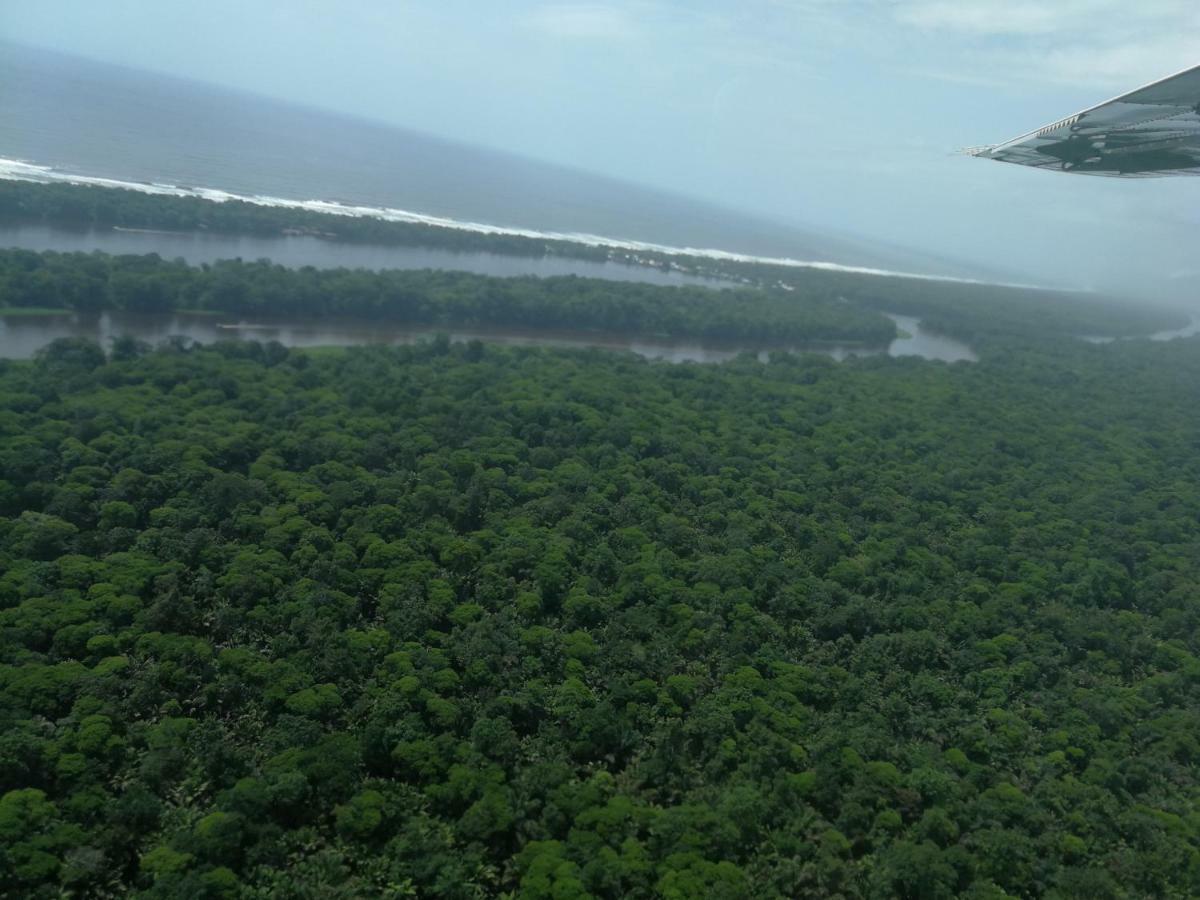 All Rankins Eco-Lodge Tortuguero Dış mekan fotoğraf