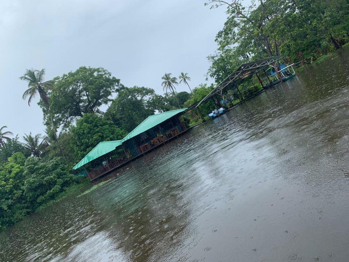 All Rankins Eco-Lodge Tortuguero Dış mekan fotoğraf