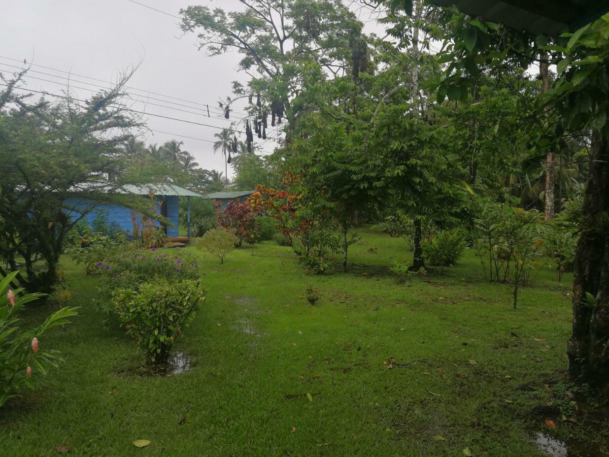 All Rankins Eco-Lodge Tortuguero Dış mekan fotoğraf