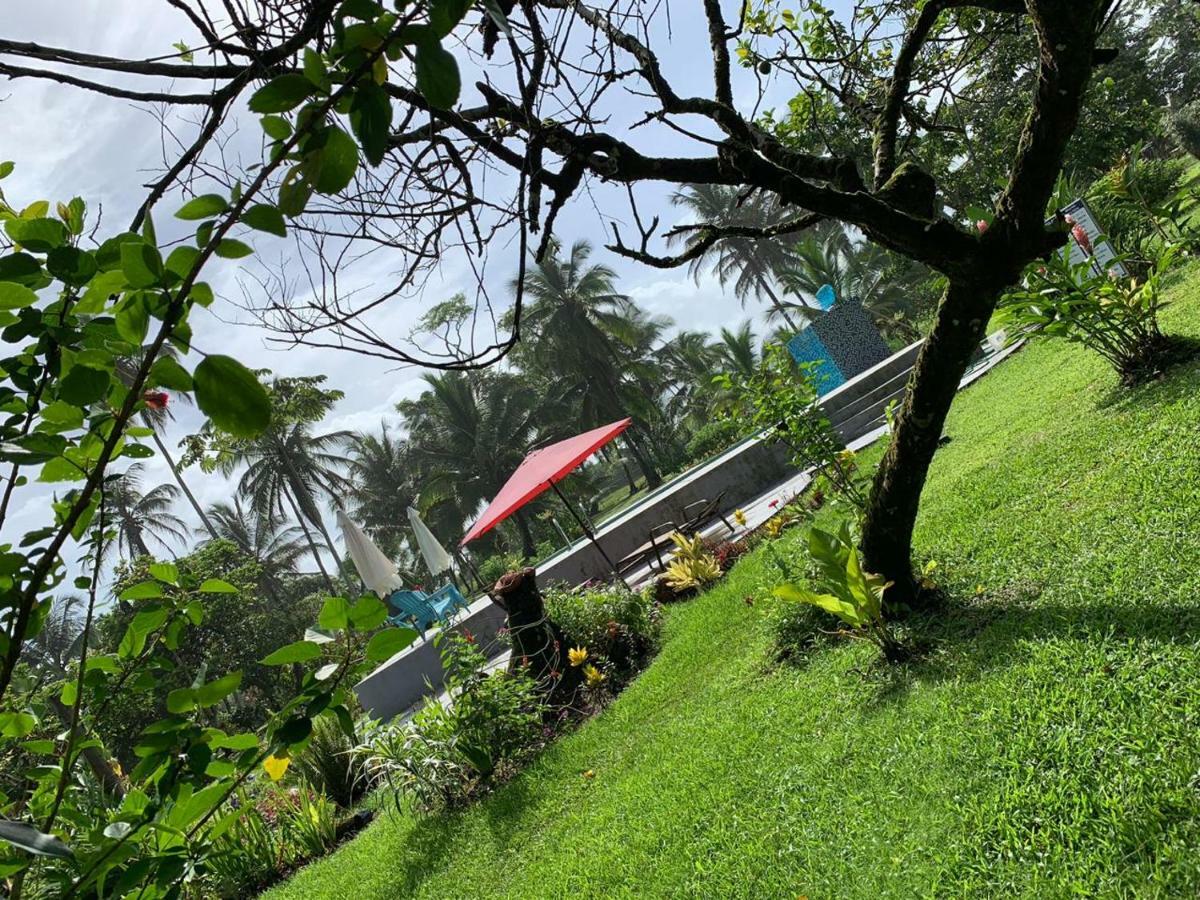 All Rankins Eco-Lodge Tortuguero Dış mekan fotoğraf