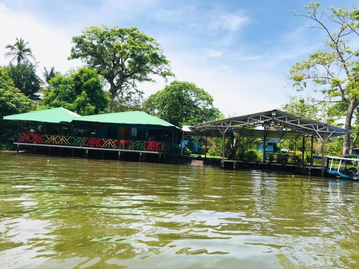 All Rankins Eco-Lodge Tortuguero Dış mekan fotoğraf