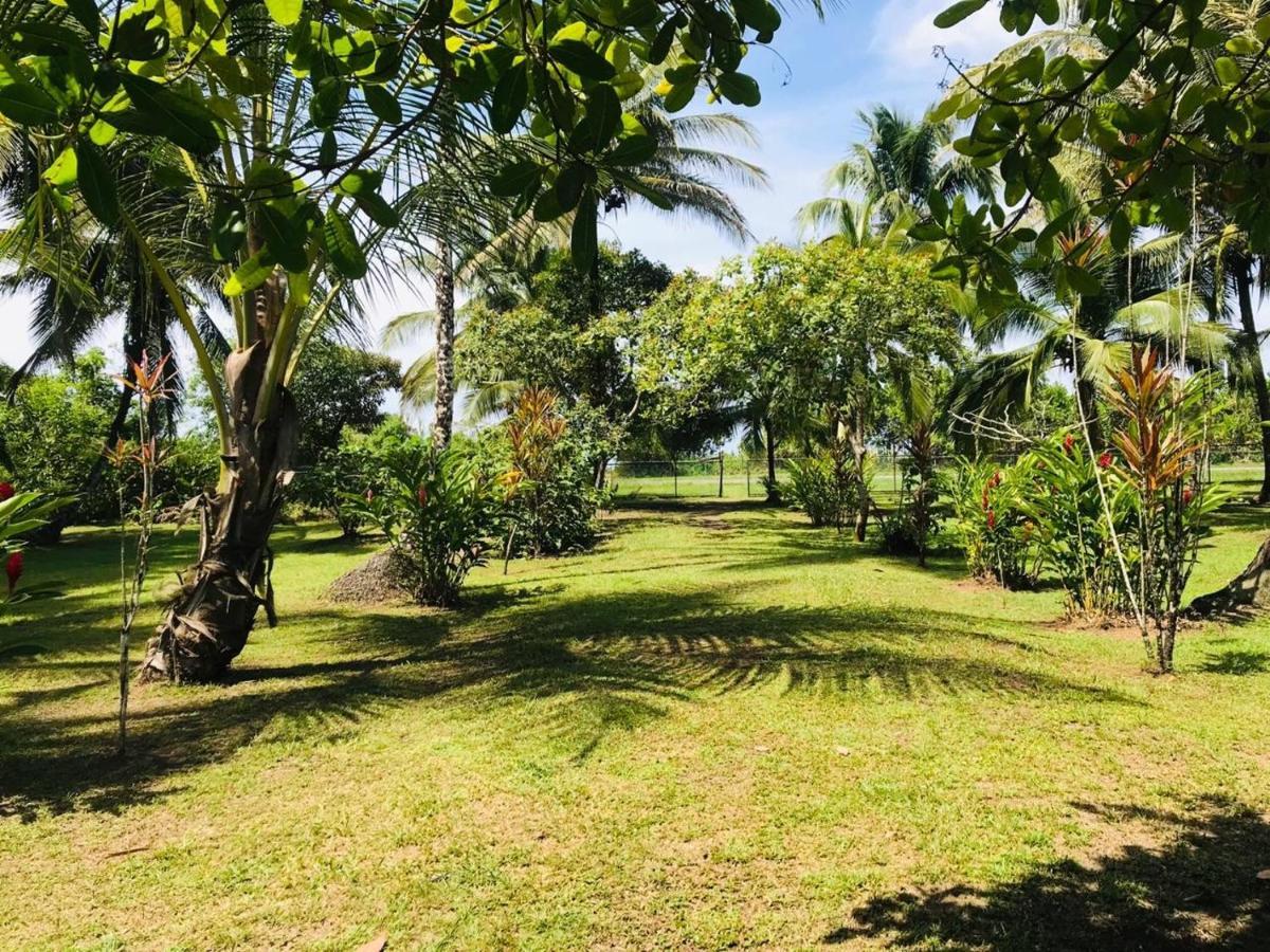 All Rankins Eco-Lodge Tortuguero Dış mekan fotoğraf